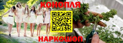 спиды Обь
